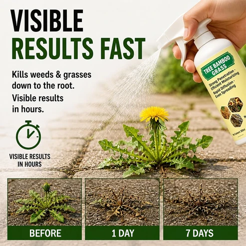 🔥LAST DAY 30% OFF