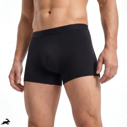 EXCLUSIVE 70% OFF🔥Titan Boxers Leakproof Originals