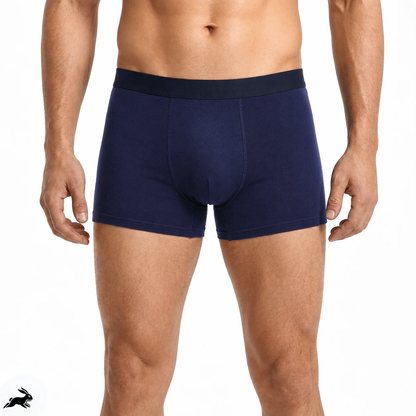 EXCLUSIVE 70% OFF🔥Titan Boxers Leakproof Originals